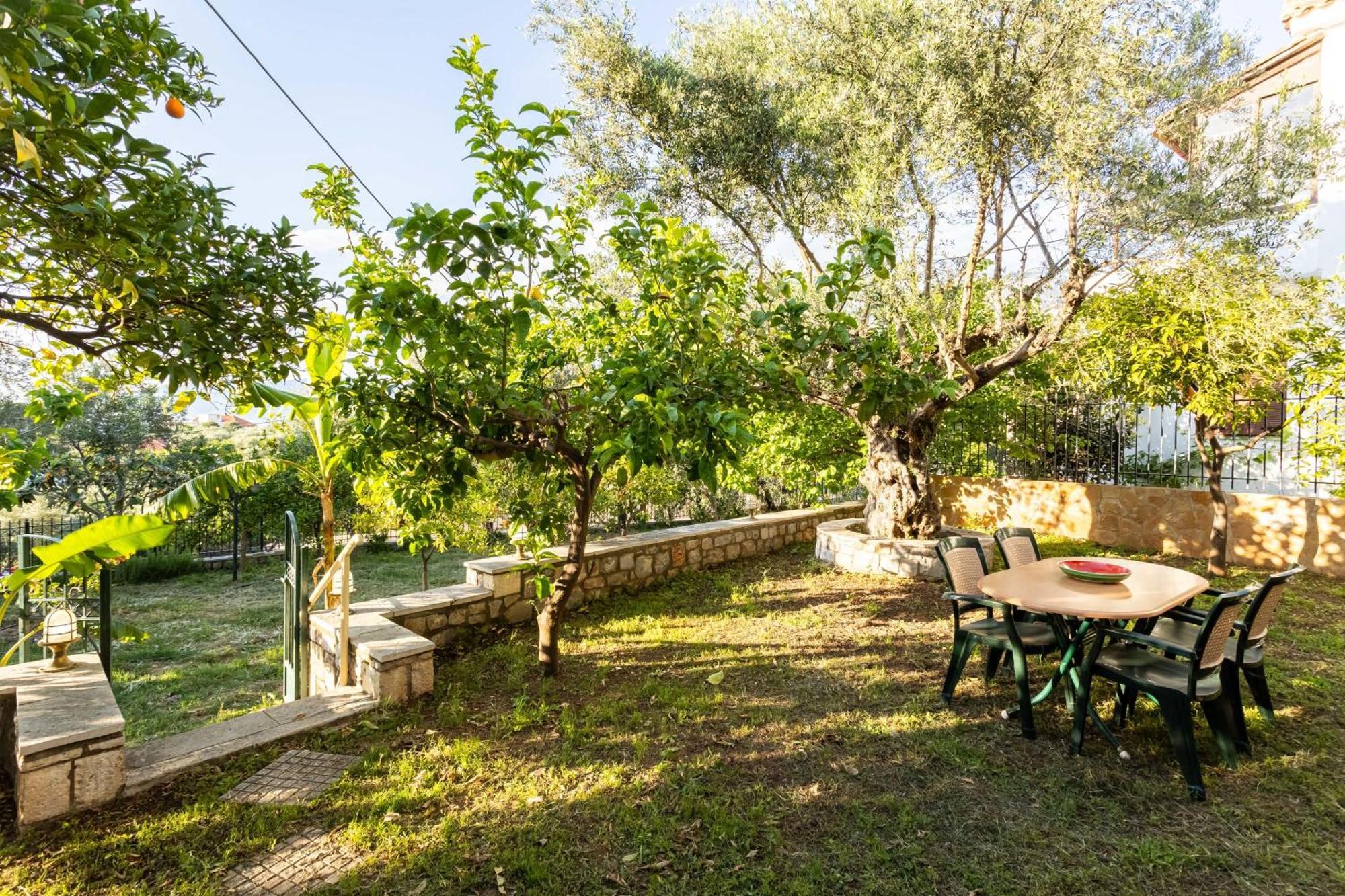 Avia's Seaside Hideaway With Lush Garden